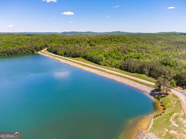 724 Broken Arrow, Waleska, GA 30183 - bird's eye view of a heavily wooded area and a nearby body of water
