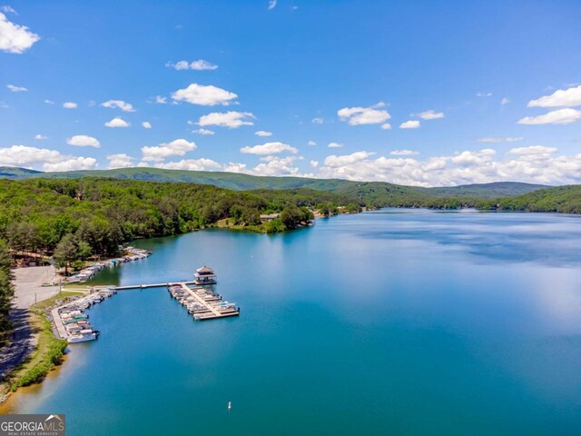 724 Broken Arrow, Waleska, GA 30183 - water view with a forest and a mountain backdrop
