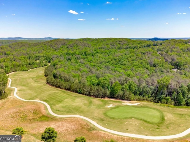 724 Broken Arrow, Waleska, GA 30183 - drone / aerial view of a forest and a golf course