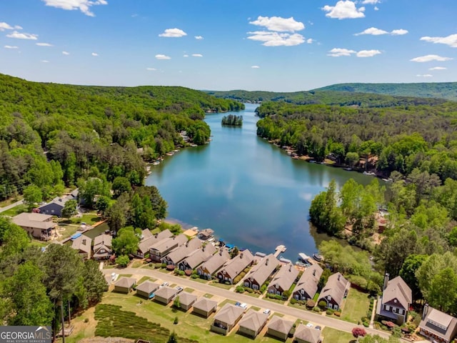 724 Broken Arrow, Waleska, GA 30183 - aerial view of residential area featuring a forest and a nearby body of water