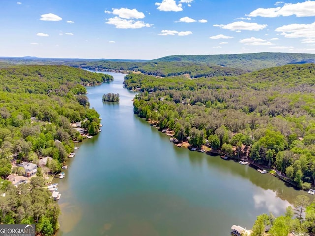 724 Broken Arrow, Waleska, GA 30183 - aerial view of a heavily wooded area and a large body of water