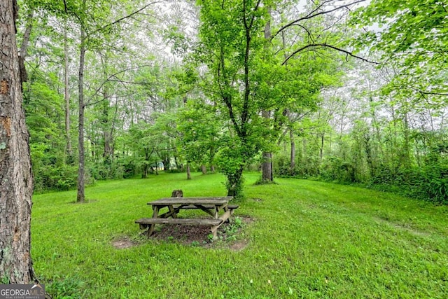 6487 W Old Highway 64 W, Warne, NC 28909 - view of green lawn with a forest view