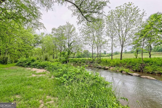 6487 W Old Highway 64 W, Warne, NC 28909 - water view