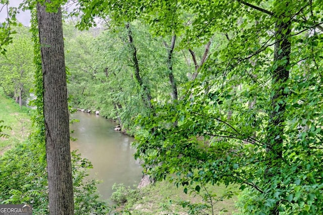 6487 W Old Highway 64 W, Warne, NC 28909 - water view
