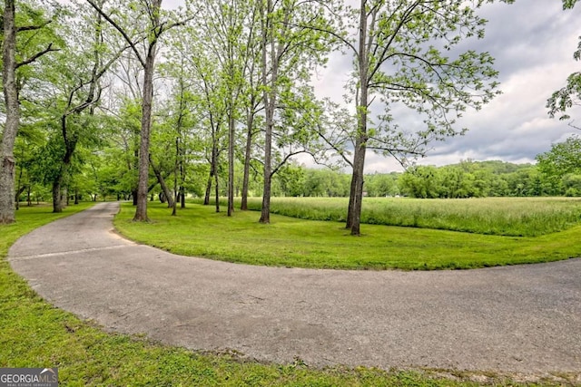 6487 W Old Highway 64 W, Warne, NC 28909 - view of community with a yard