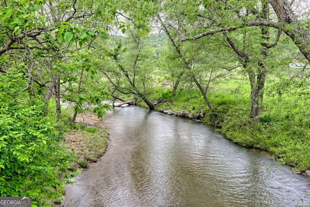 6487 W Old Highway 64 W, Warne, NC 28909 - water view