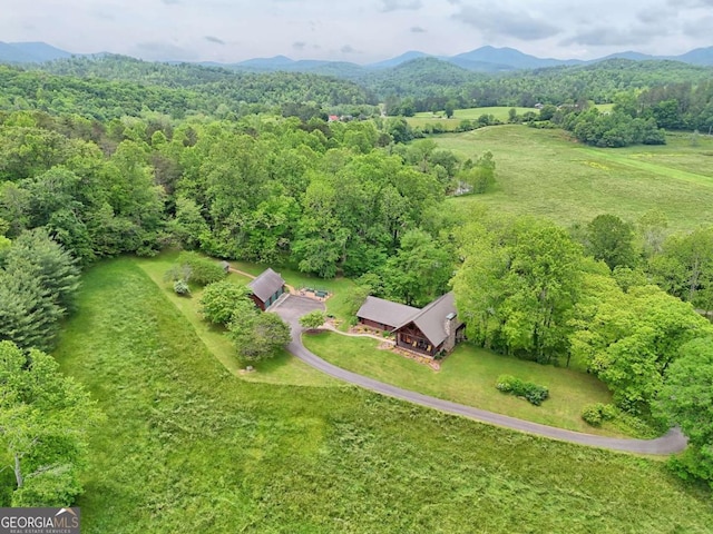 6487 W Old Highway 64 W, Warne, NC 28909 - aerial view of property's location featuring a mountain backdrop and a forest