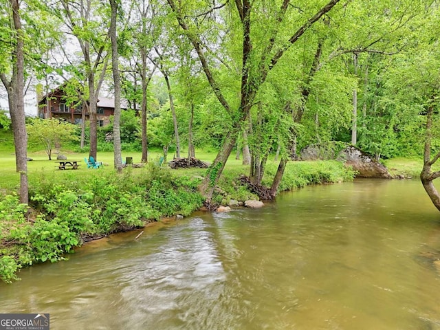 6487 W Old Highway 64 W, Warne, NC 28909 - water view