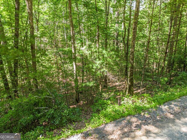 294 Oakwood Trl, Mineral Bluff, GA 30559 - view of woods