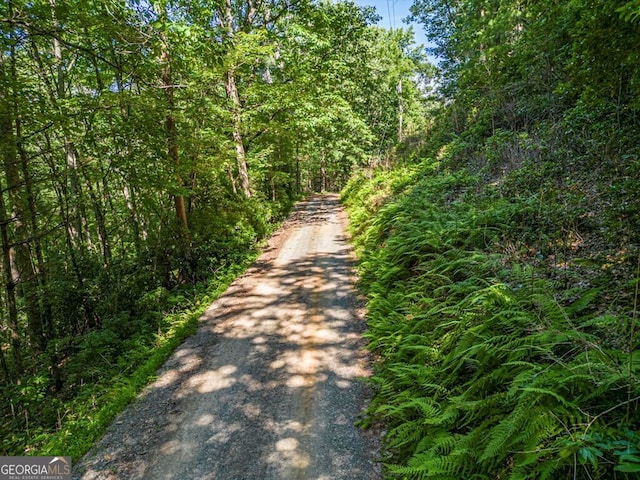 294 Oakwood Trl, Mineral Bluff, GA 30559 - view of road featuring a view of trees