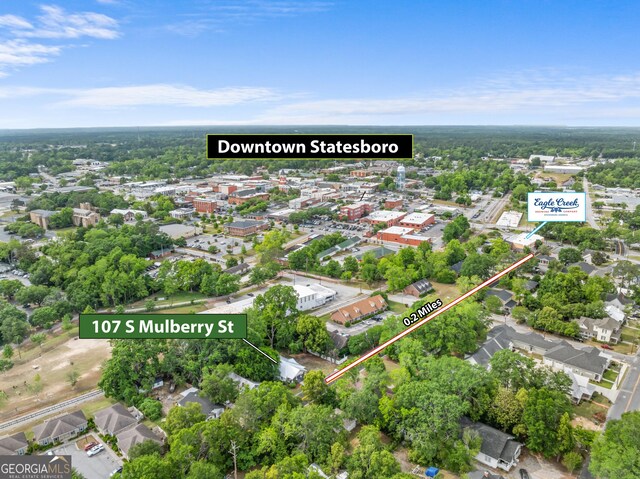 107 S Mulberry St, Statesboro, GA 30458 - aerial view of property's location