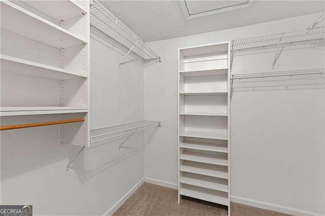 3007 Manning Dr, Marietta, GA 30062 - walk in closet featuring carpet