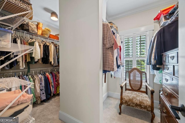 555 Red Bluff Dr, Athens, GA 30607 - spacious closet with carpet