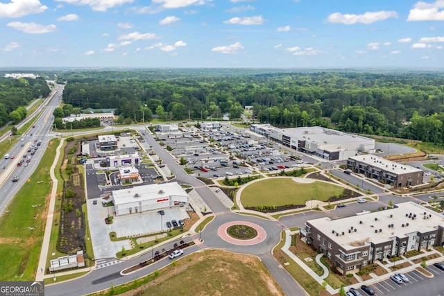 555 Red Bluff Dr, Athens, GA 30607 - bird's eye view of a forest