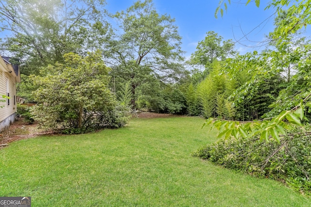 404 N 15th St, Griffin, GA 30223 - view of grassy yard