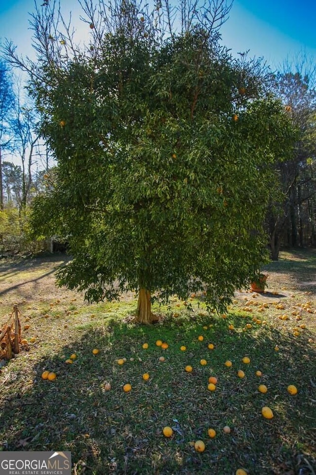 272 Old Sudie Rd, Hiram, GA 30141 - view of yard