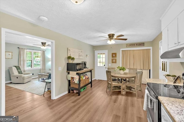 1277 Abrams Rd SE, Silver Creek, GA 30173 - dining room featuring ceiling fan, light wood-type flooring, a textured ceiling, and baseboards
