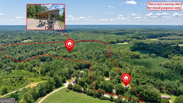 724 Bertha Willis Rd, Carlton, GA 30627 - aerial overview of property's location with a forest and property parcel outlined