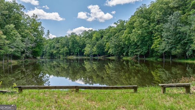 724 Bertha Willis Rd, Carlton, GA 30627 - water view with a forest