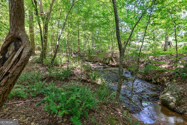 724 Bertha Willis Rd, Carlton, GA 30627 - view of local wilderness
