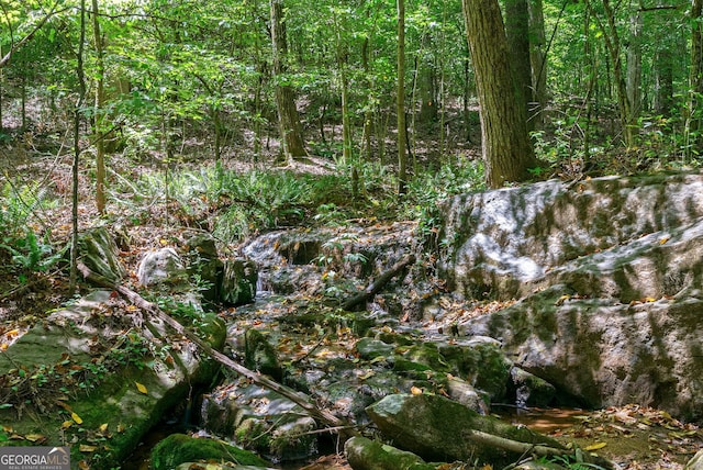 724 Bertha Willis Rd, Carlton, GA 30627 - view of tree filled area