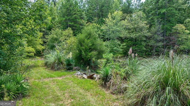 724 Bertha Willis Rd, Carlton, GA 30627 - view of yard with a forest view