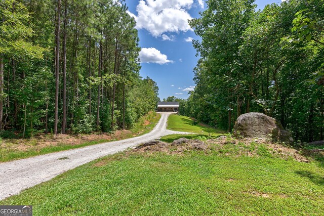 724 Bertha Willis Rd, Carlton, GA 30627 - view of dirt / gravel driveway
