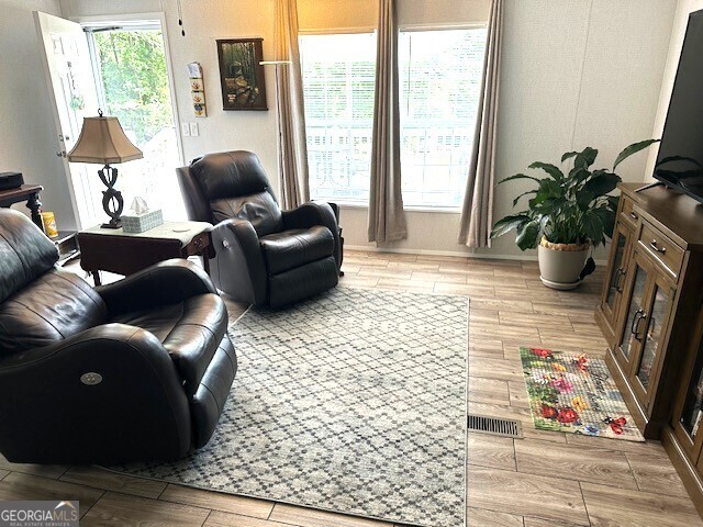 724 Bertha Willis Rd, Carlton, GA 30627 - living room featuring light wood-style flooring