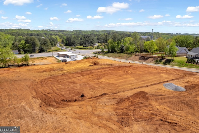 407 Thunder Rd, Buford, GA 30518 - bird's eye view of a heavily wooded area