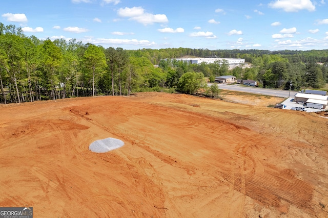 407 Thunder Rd, Buford, GA 30518 - view of yard with a forest view