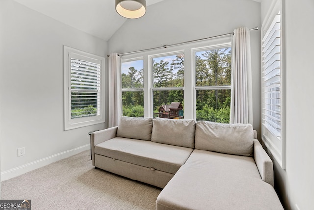 229 Widener Way, Peachtree City, GA 30269 - sunroom / solarium with vaulted ceiling