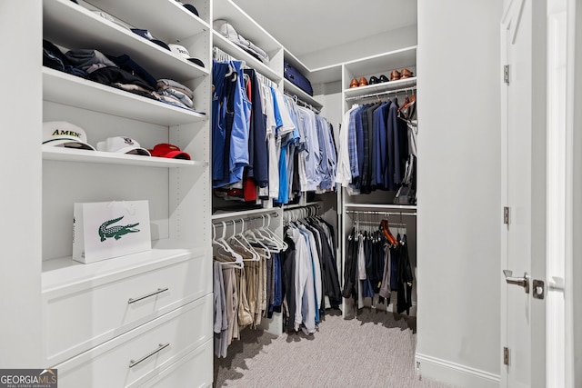 229 Widener Way, Peachtree City, GA 30269 - walk in closet featuring carpet flooring