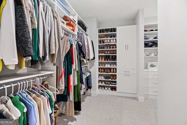 229 Widener Way, Peachtree City, GA 30269 - walk in closet with carpet flooring