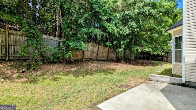 3881 Micah Ln, Ellenwood, GA 30294 - view of yard featuring a patio area