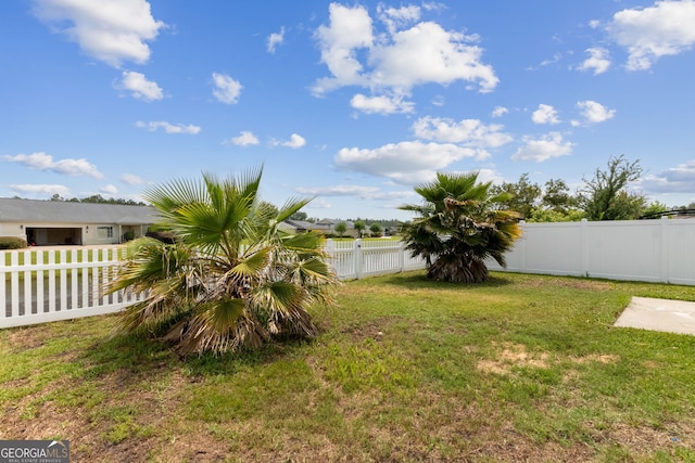 36 Fox Path, Saint Marys, GA 31558 - view of yard