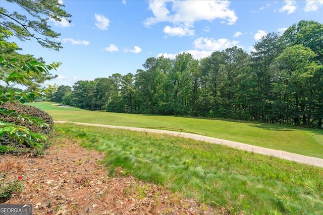 1323 Frey Lake Ct NW, Kennesaw, GA 30144 - view of green lawn featuring golf course view