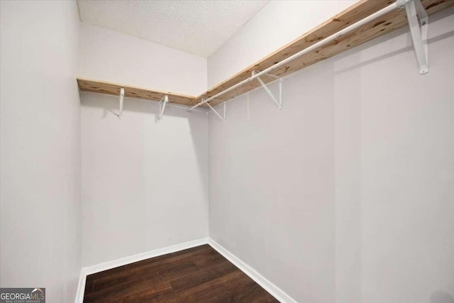 5555 Mountain Springs Cir, Stone Mountain, GA 30088 - spacious closet featuring dark wood-style floors