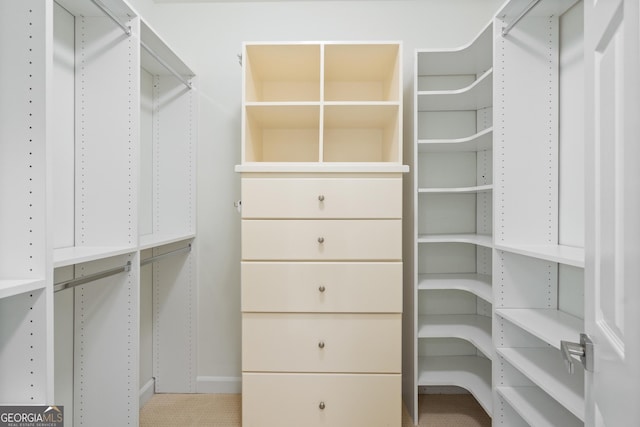 10630 N Edgewater Pl, Johns Creek, GA 30097 - view of walk in closet