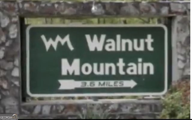 M164 Walnut Rdg, Ellijay, GA 30336