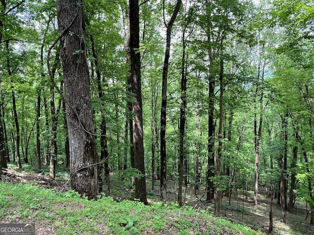 M164 Walnut Rdg, Ellijay, GA 30336