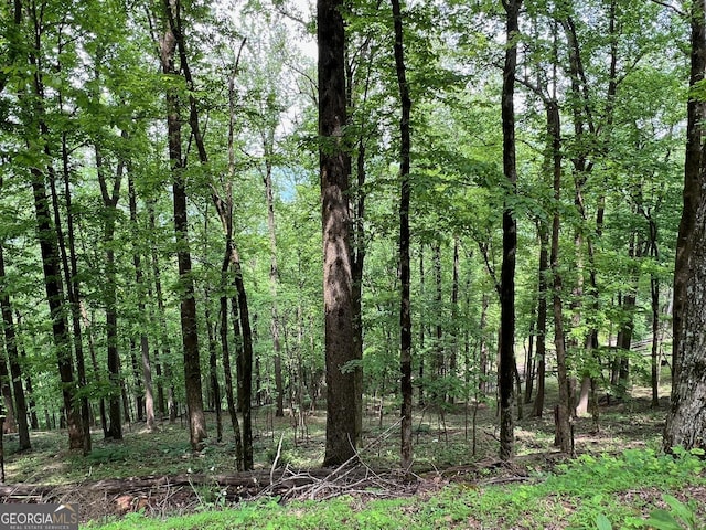 M164 Walnut Rdg, Ellijay, GA 30336