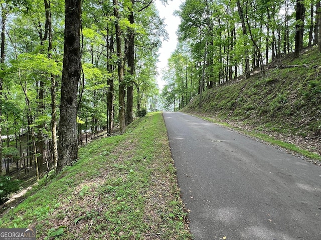 M164 Walnut Rdg, Ellijay, GA 30336