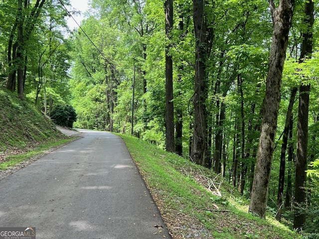 M164 Walnut Rdg, Ellijay, GA 30336