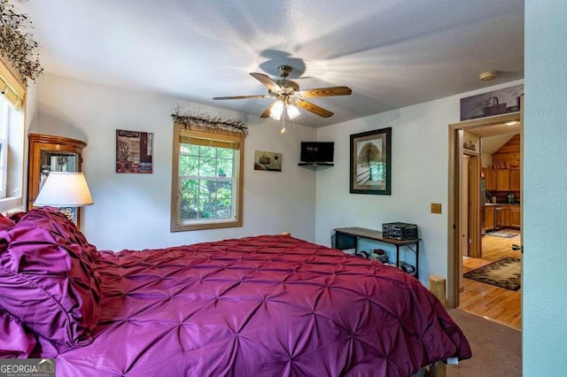 284 Summit Way Unit 19, Blairsville, GA 30512 - bedroom featuring carpet and a ceiling fan
