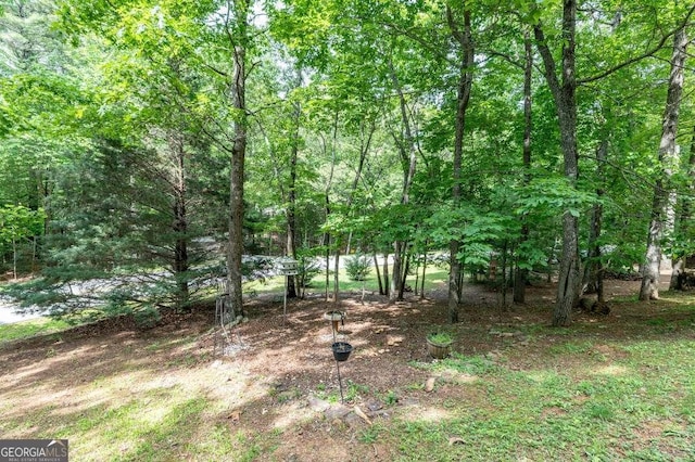 284 Summit Way Unit 19, Blairsville, GA 30512 - view of local wilderness