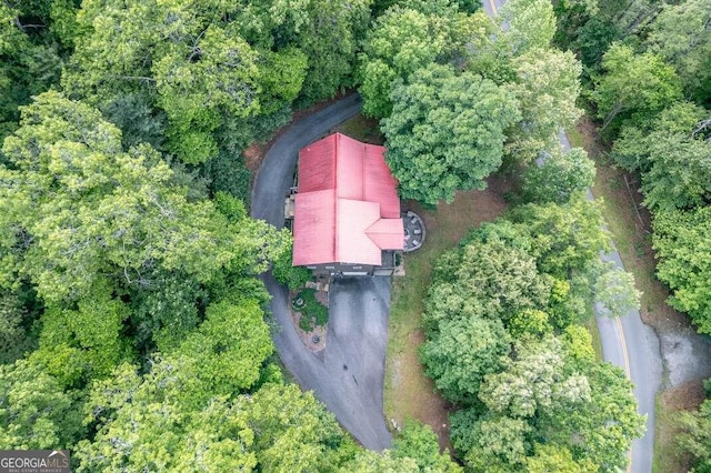 284 Summit Way Unit 19, Blairsville, GA 30512 - drone / aerial view