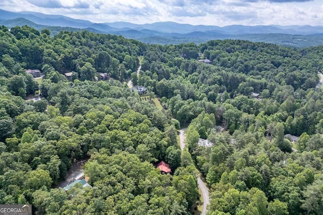 284 Summit Way Unit 19, Blairsville, GA 30512 - bird's eye view of mountains