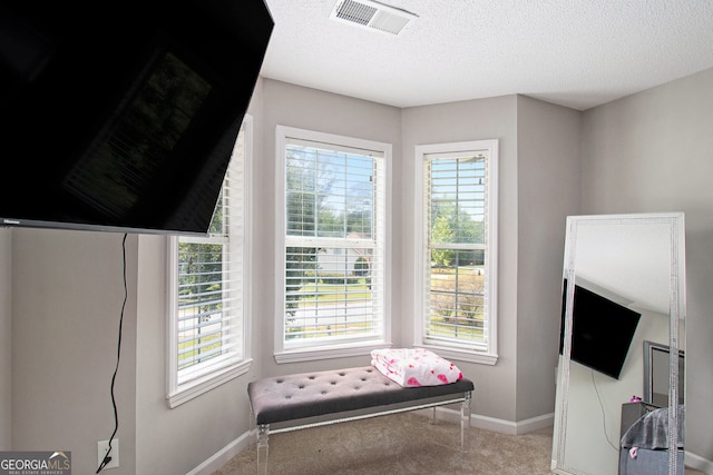 1478 Interlaken Pass, Jonesboro, GA 30238 - bedroom with carpet and a textured ceiling