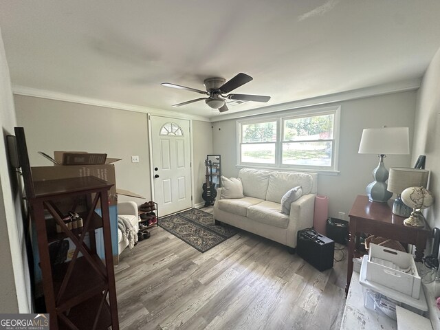 1815 Oak Spring St, Statham, GA 30666 - living area featuring wood finished floors, a ceiling fan, and ornamental molding