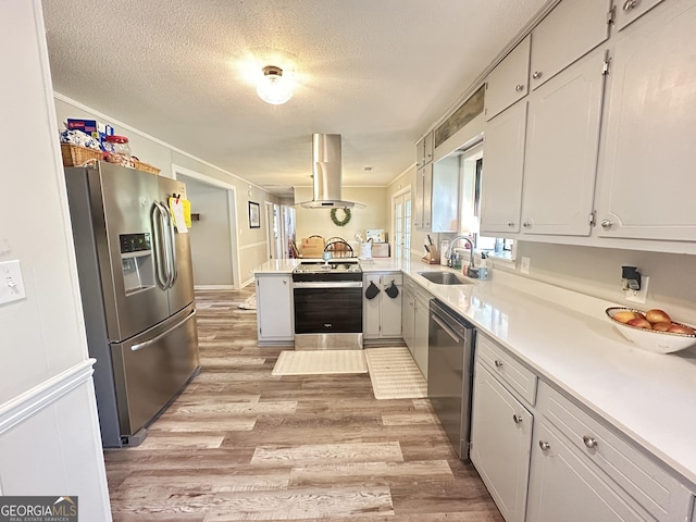 1815 Oak Spring St, Statham, GA 30666 - kitchen featuring stainless steel appliances, a sink, island range hood, light wood-style floors, and a peninsula